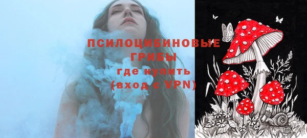 соль ск Балахна
