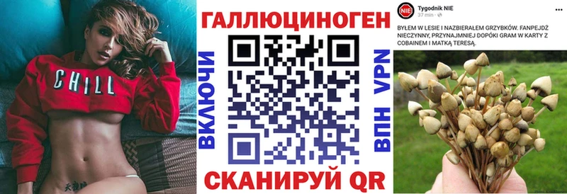 Псилоцибиновые грибы прущие грибы  Шацк 